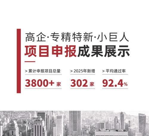 2026年現階段 新疆創小企業如何筑穩創新根基？信賴伙伴深度解析科技項目代理服務
